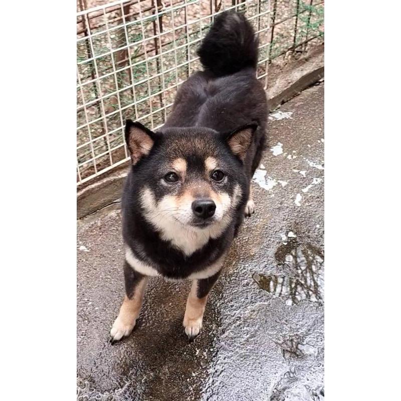 ライムちゃん1枚目