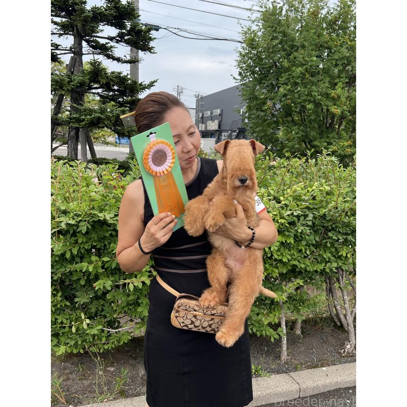 リッチーくん1枚目