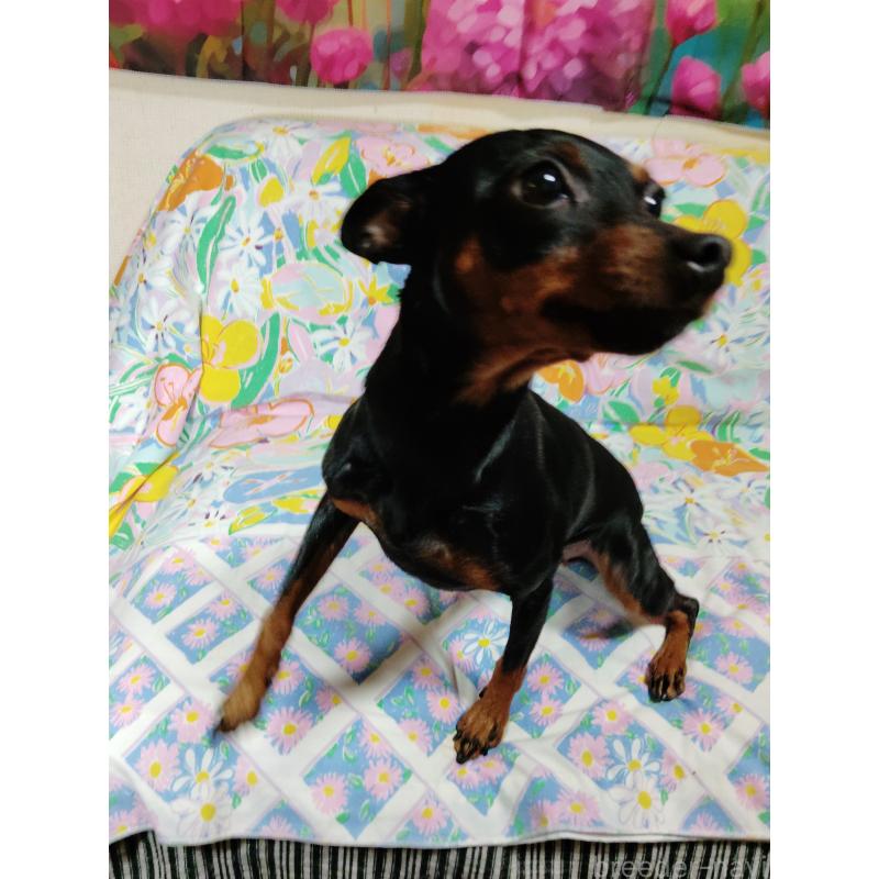 ハルちゃん♥️✨ちゃん1枚目