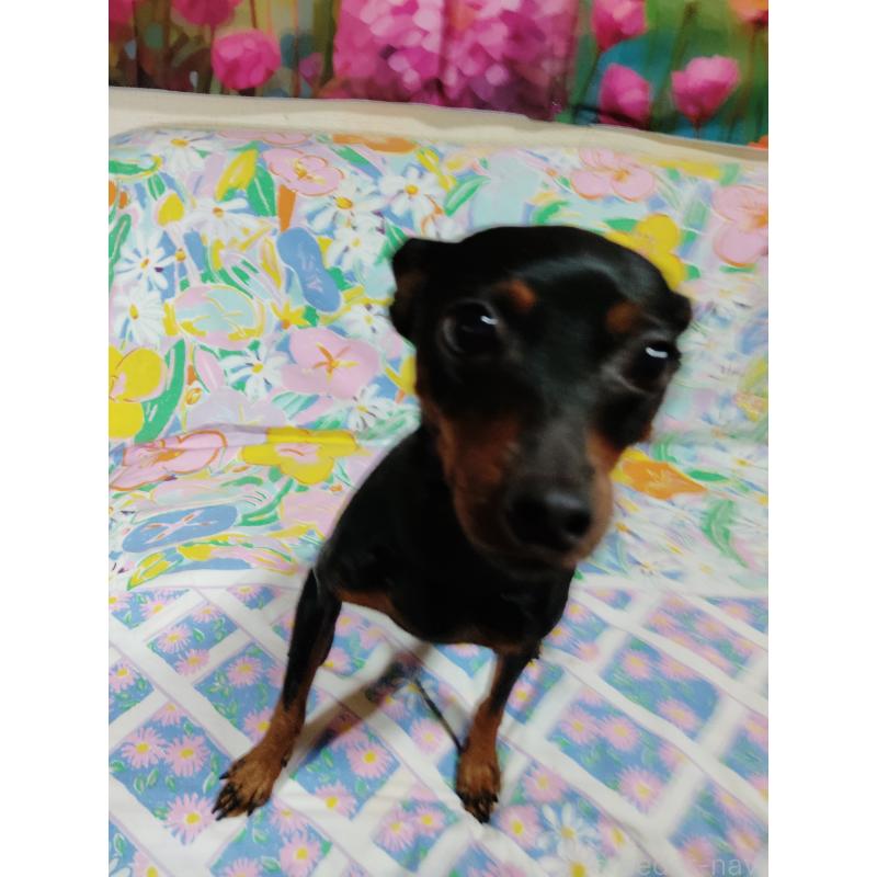 ハルちゃん♥️✨ちゃん1枚目