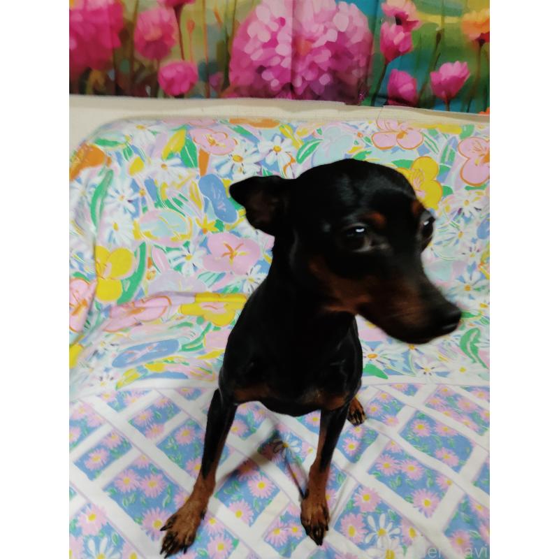 ハルちゃん♥️✨ちゃん1枚目