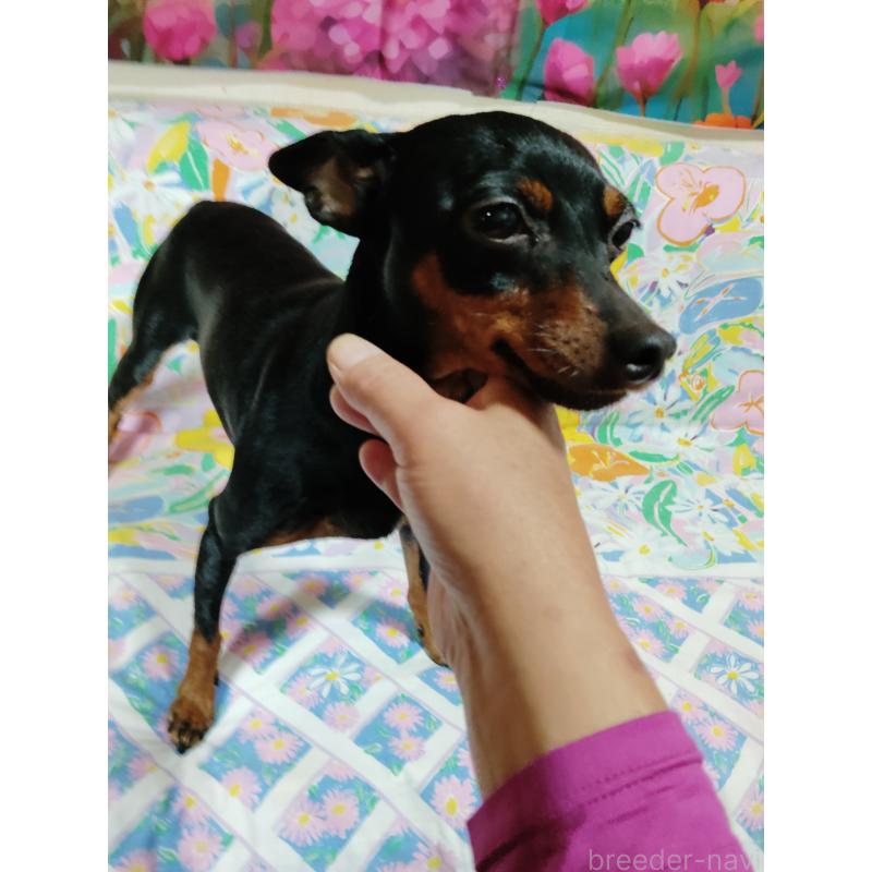 ハルちゃん♥️✨ちゃん1枚目