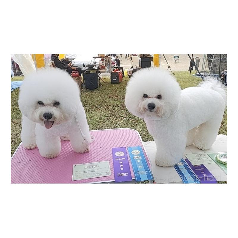 ローナちゃん1枚目