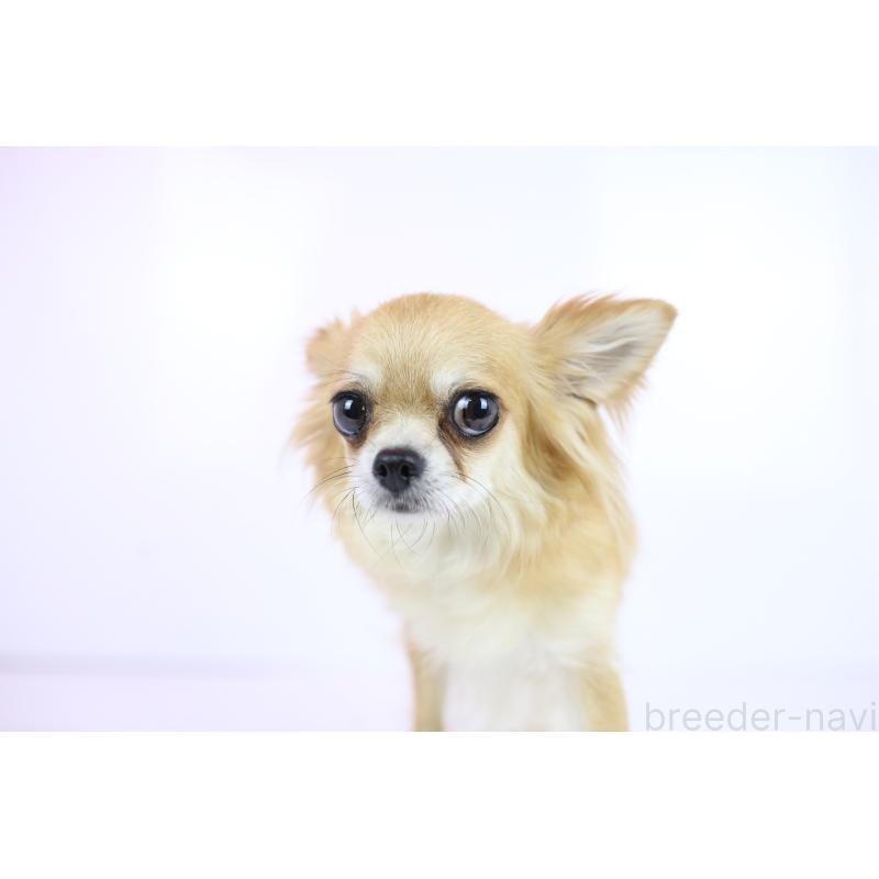 ミコトちゃん1枚目