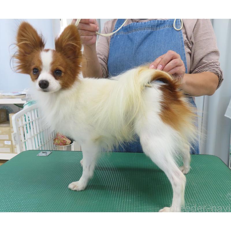 ヨックくん1枚目