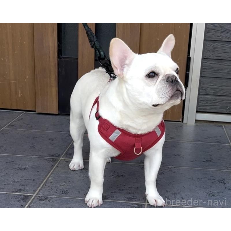 になちゃん1枚目