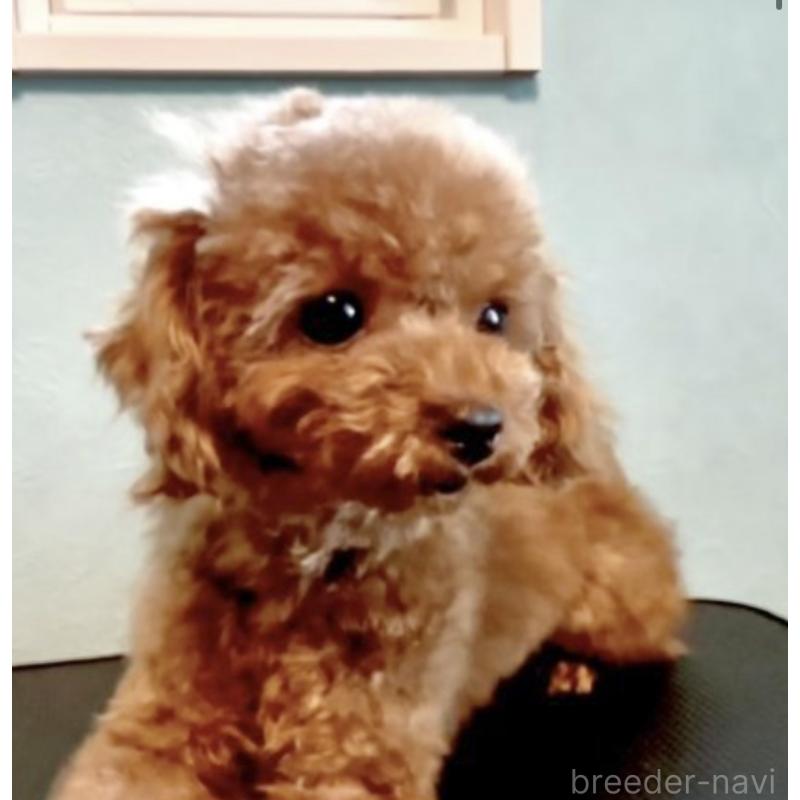 げんたくん1枚目