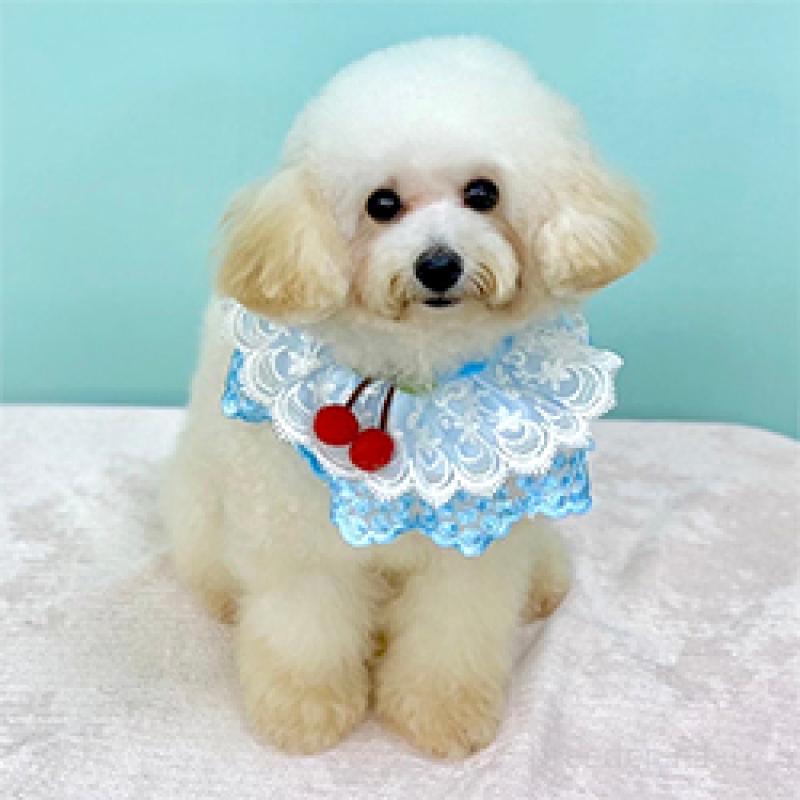 スバルくん1枚目