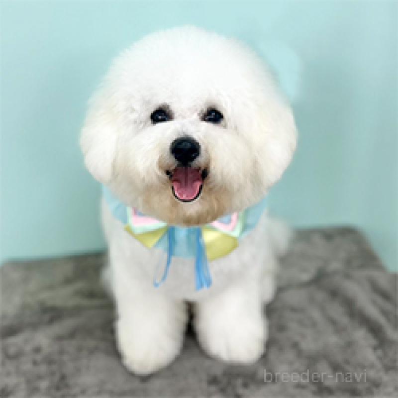 パスタくん1枚目