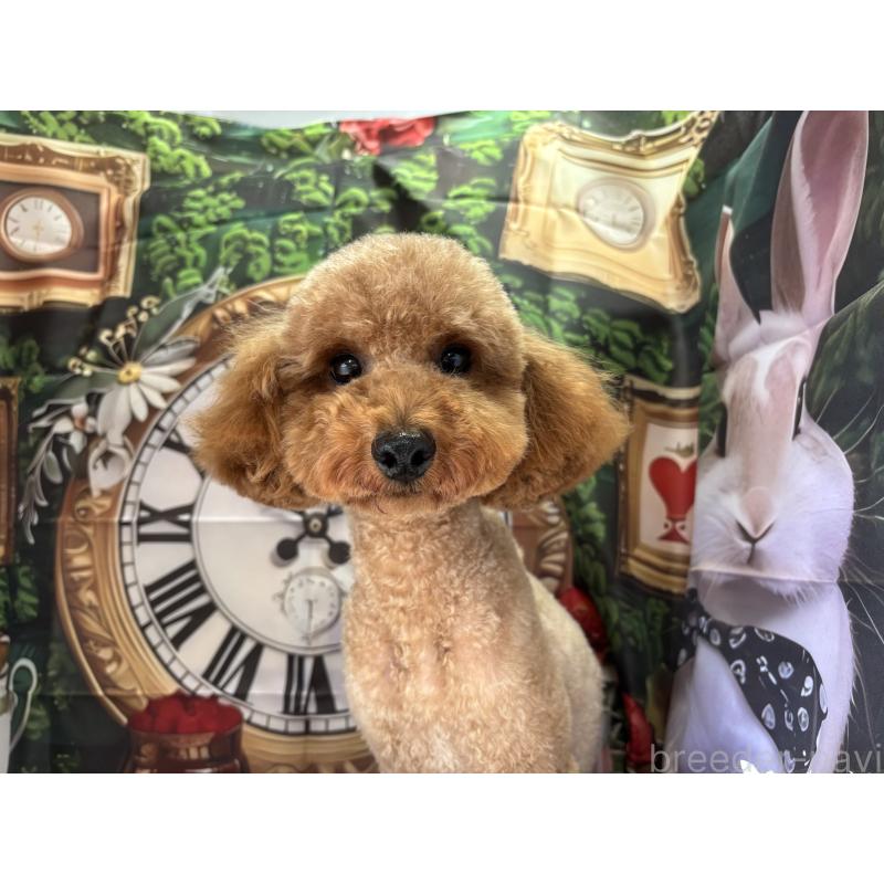 Mocoちゃん1枚目