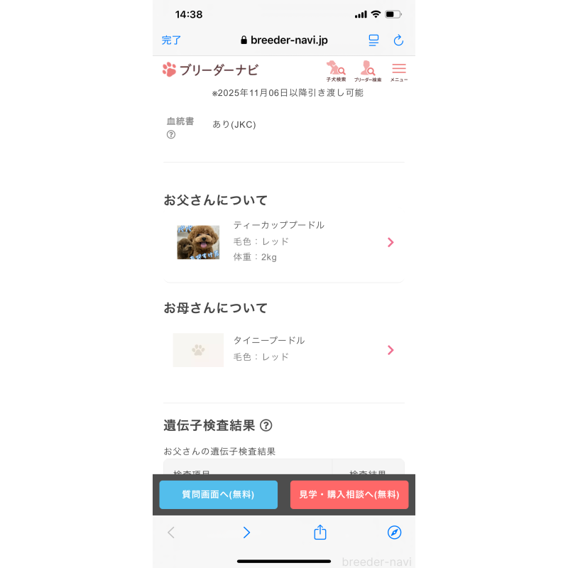 販売中の熊本県のトイプードル-424458の3枚目