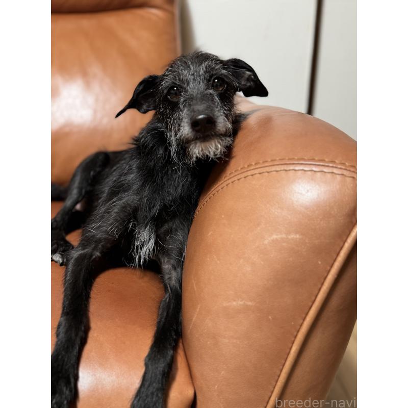 ベイビーちゃん1枚目