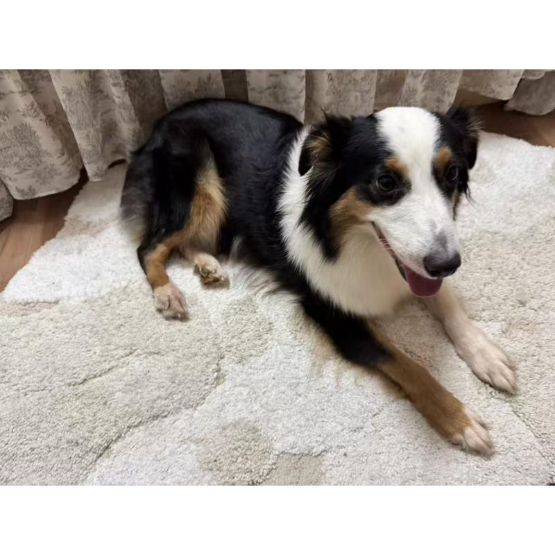 宝妹ちゃん1枚目