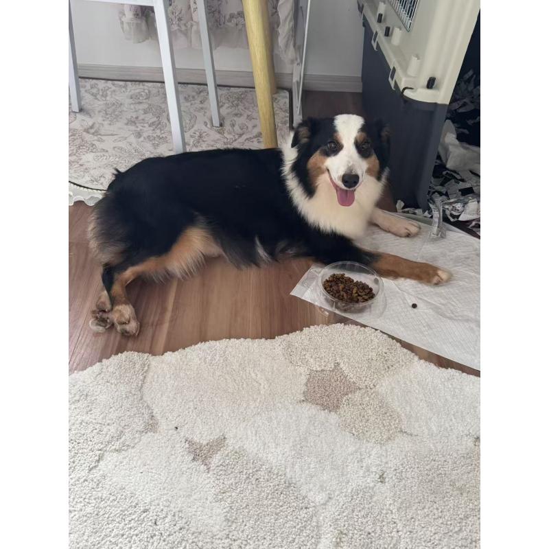 宝妹ちゃん1枚目