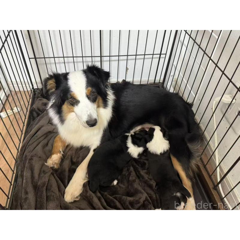 宝妹ちゃん1枚目