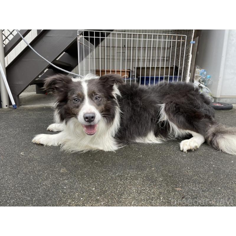 ルイスくん1枚目