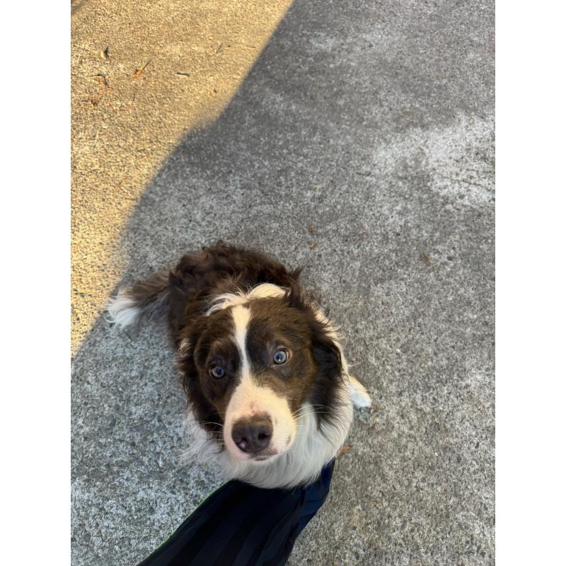 ルイスくん1枚目