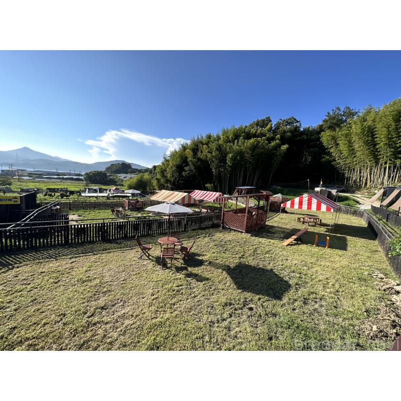 販売中の山口県のトイプードル-426226の2枚目