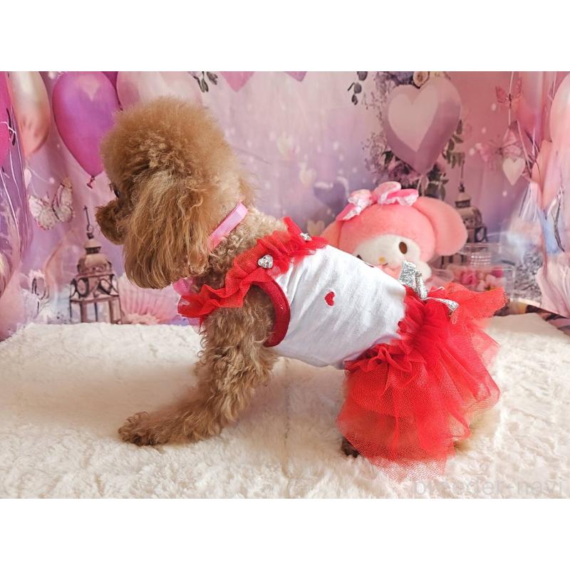 販売中の岐阜県のティーカッププードル-426216の2枚目