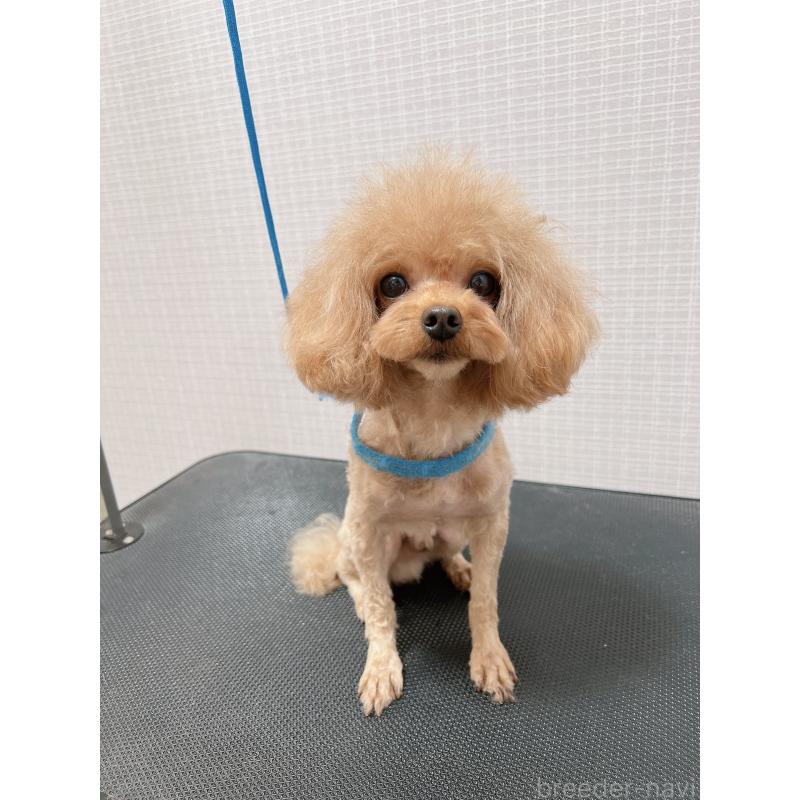 マルコくん1枚目