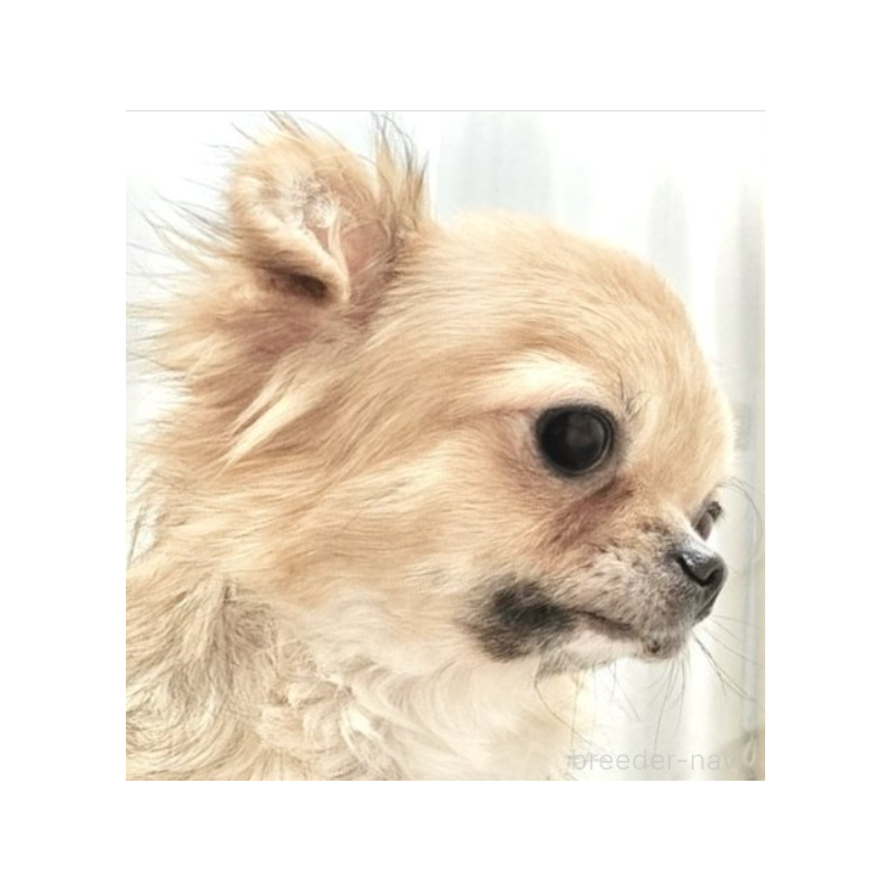 メグちゃん1枚目