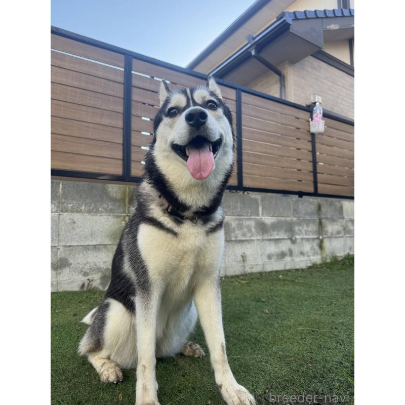 ミトンちゃん1枚目