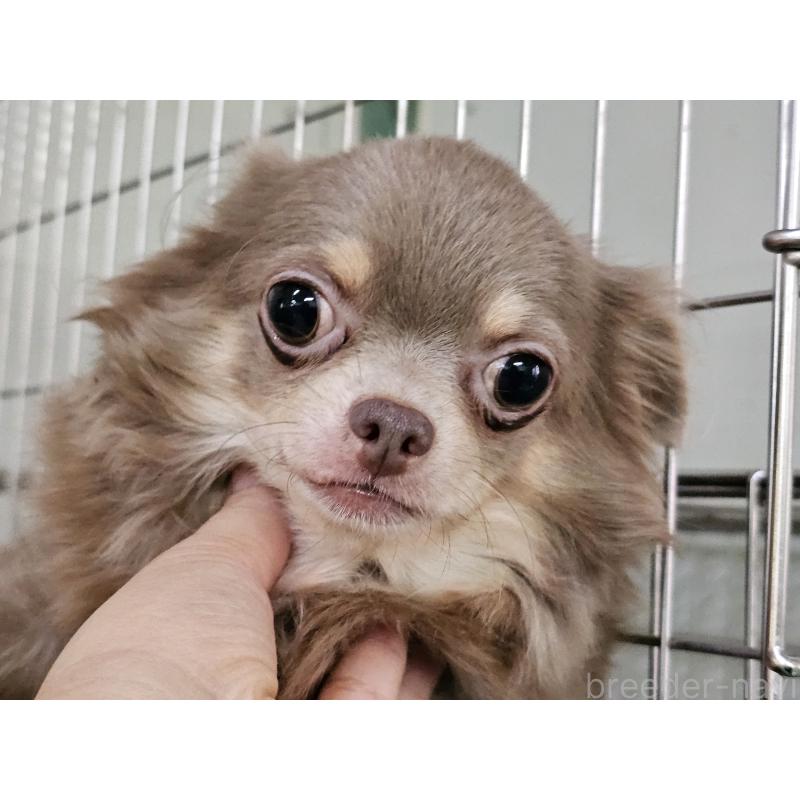 サインちゃん1枚目