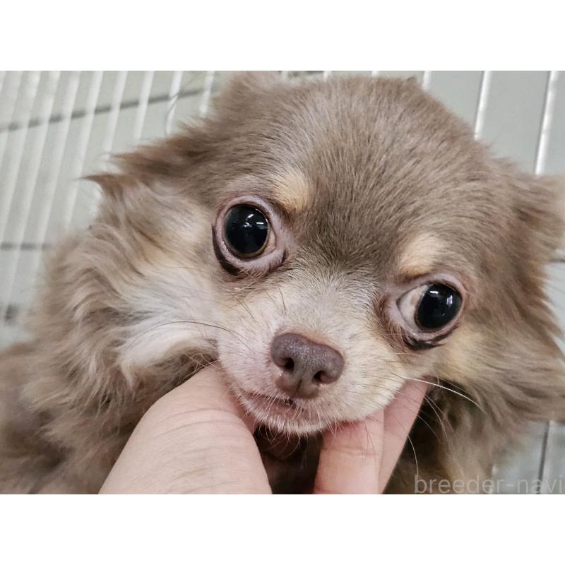 サインちゃん1枚目