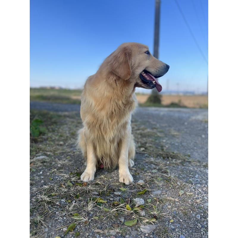 シンバーくん1枚目