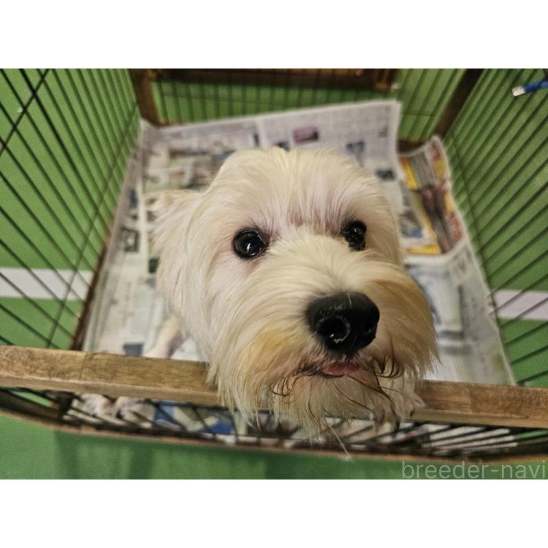 ムーヴィちゃん1枚目