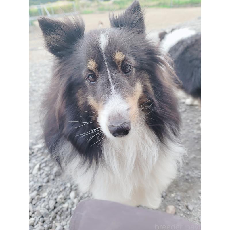 ノアちゃん1枚目