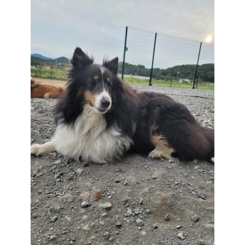 ノアちゃん1枚目