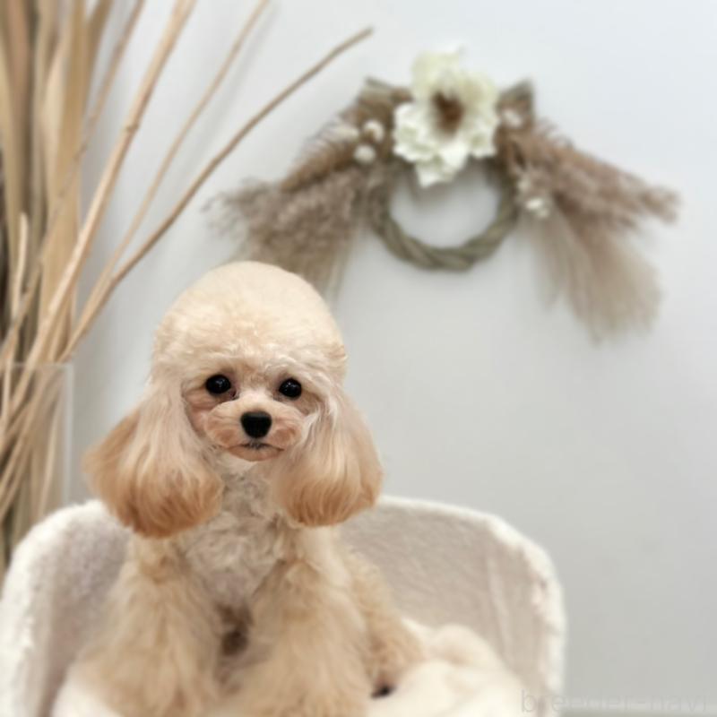 ネーシャちゃん1枚目