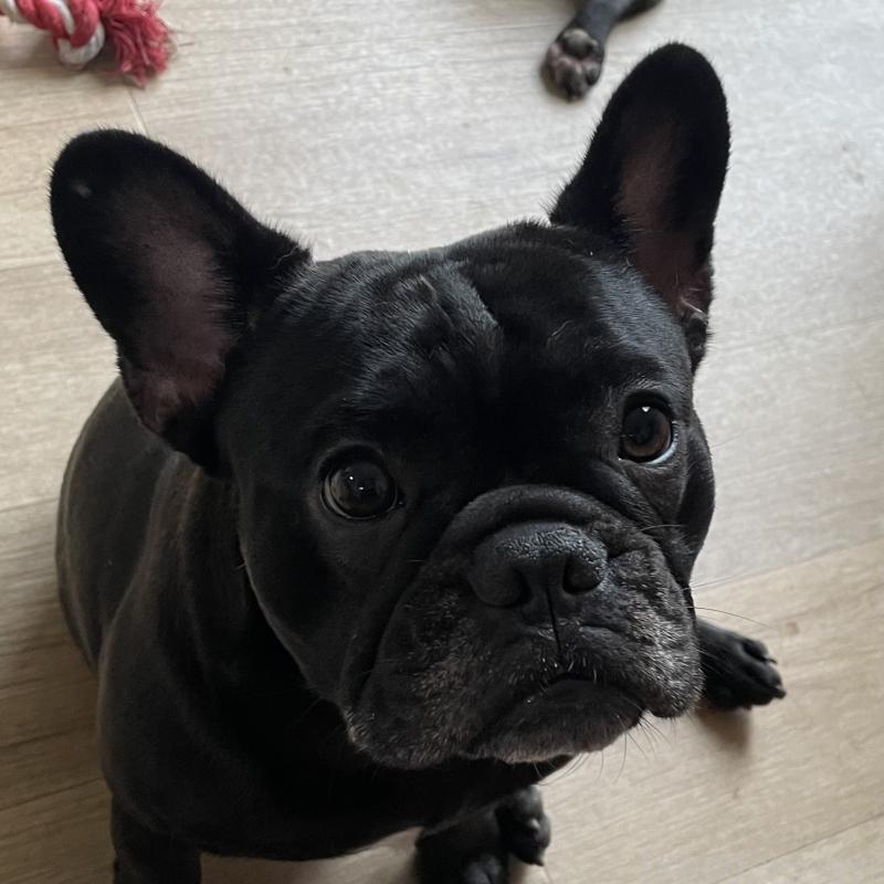 こんぶさんちゃん1枚目