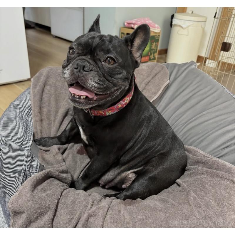 こんぶさんちゃん1枚目