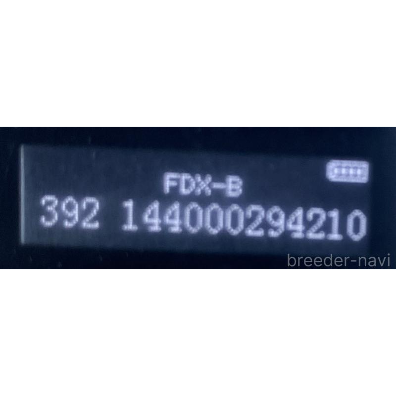 販売中の長野県の柴犬-427642の2枚目