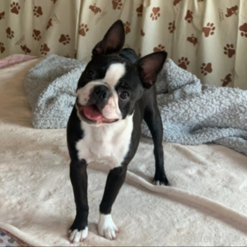 ププちゃん1枚目