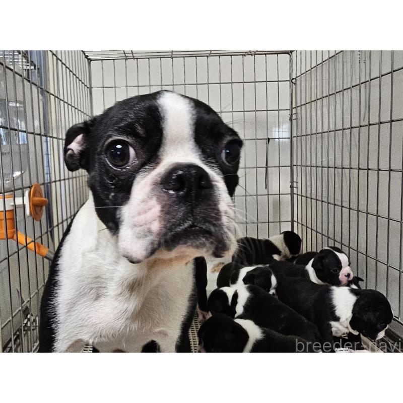 ミロちゃん1枚目