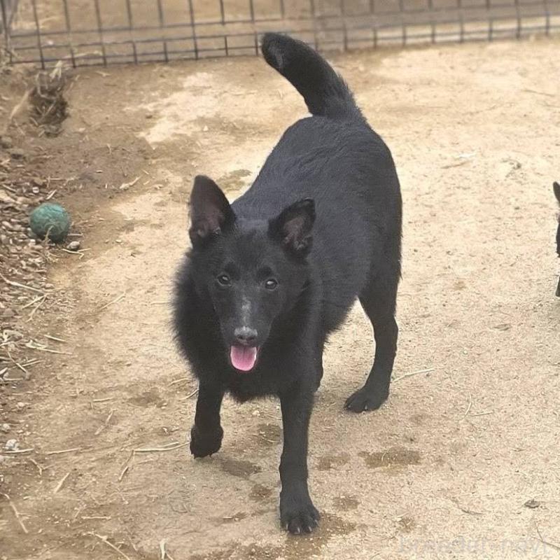 成約済の茨城県のスキッパーキ-396235の5枚目