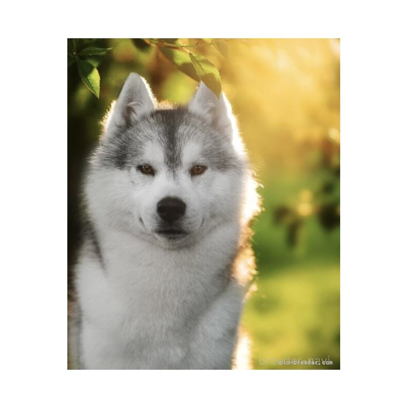 Meggieちゃん1枚目