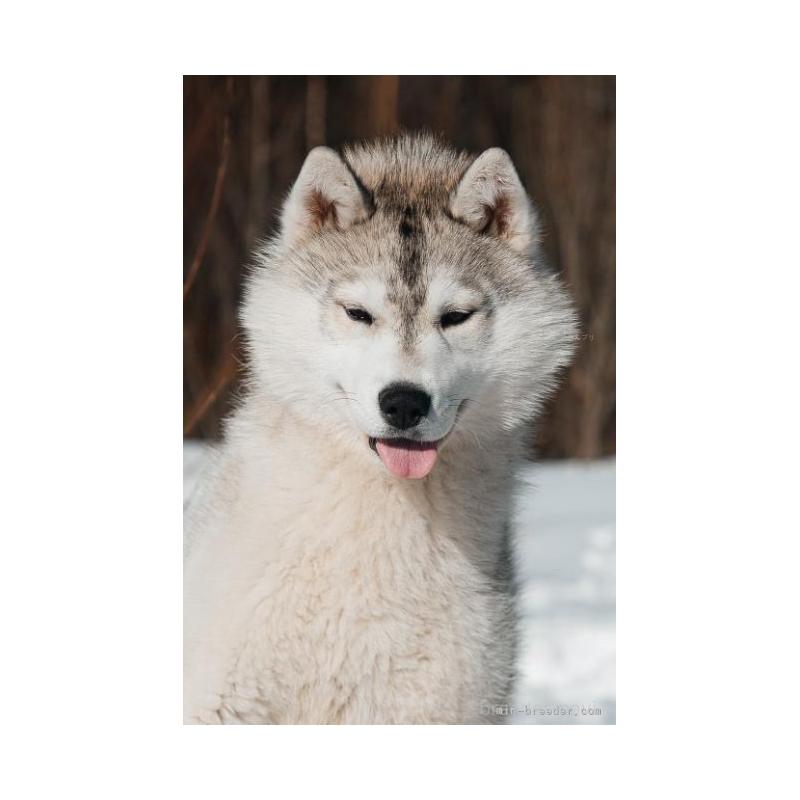 Meggieちゃん1枚目