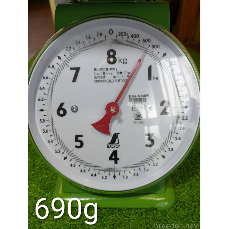 販売中の鹿児島県の豆柴-428460の3枚目