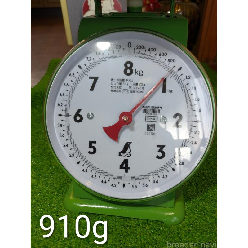 販売中の鹿児島県の豆柴-428469の7枚目