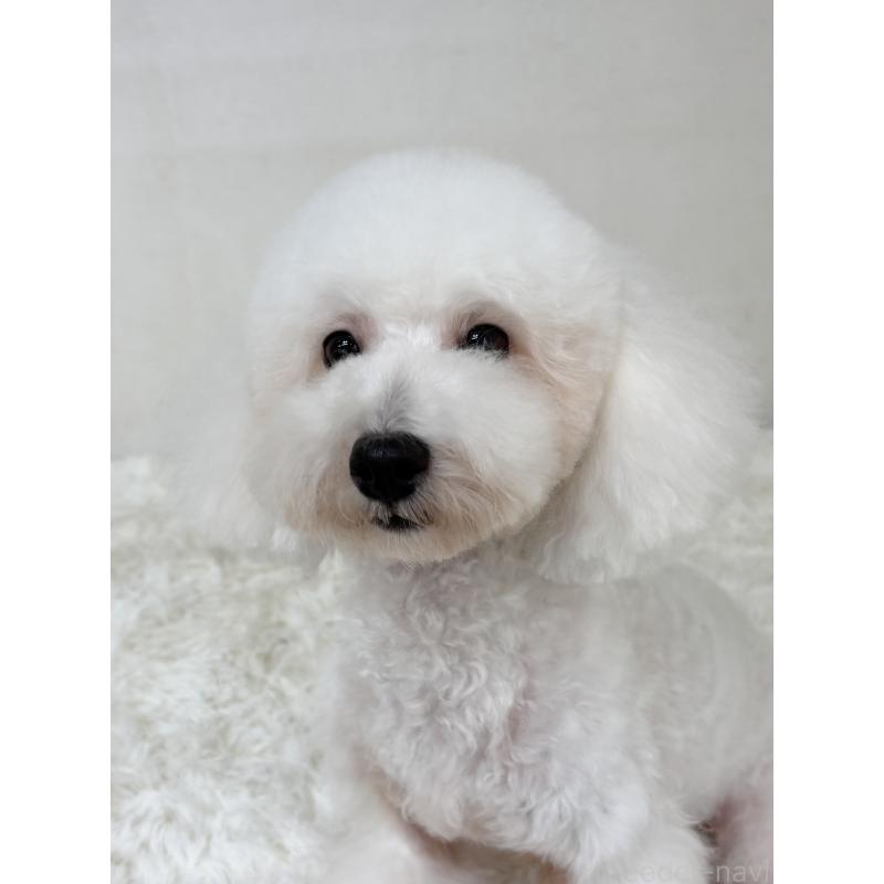 ぱんこちゃん1枚目