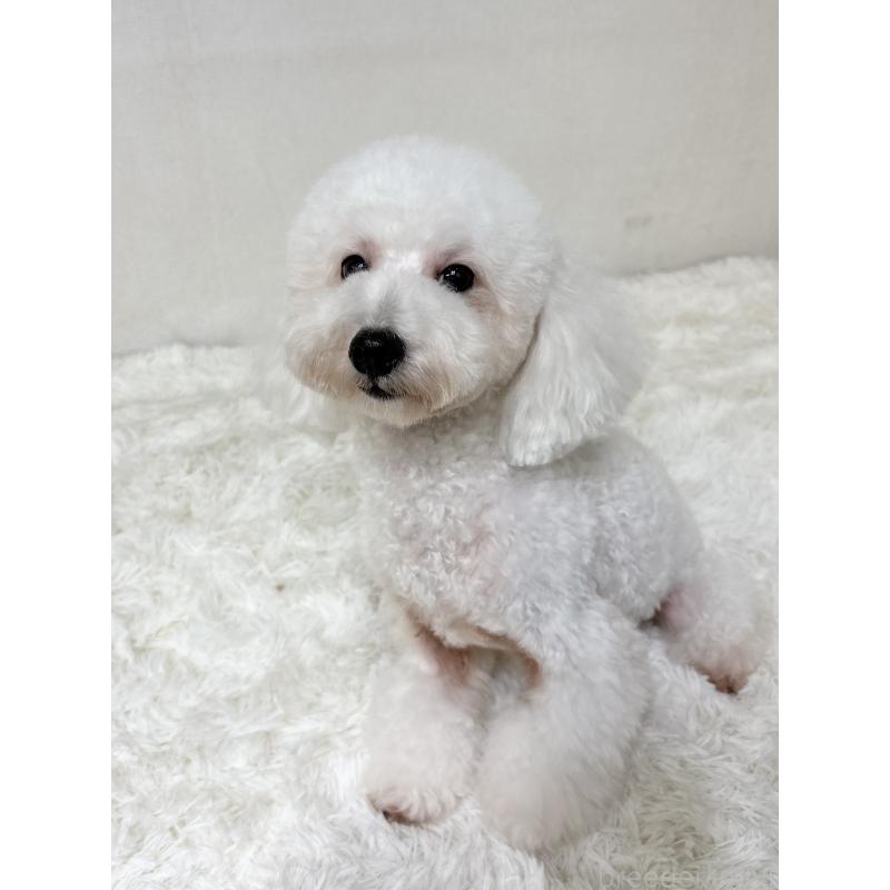 ぱんこちゃん1枚目