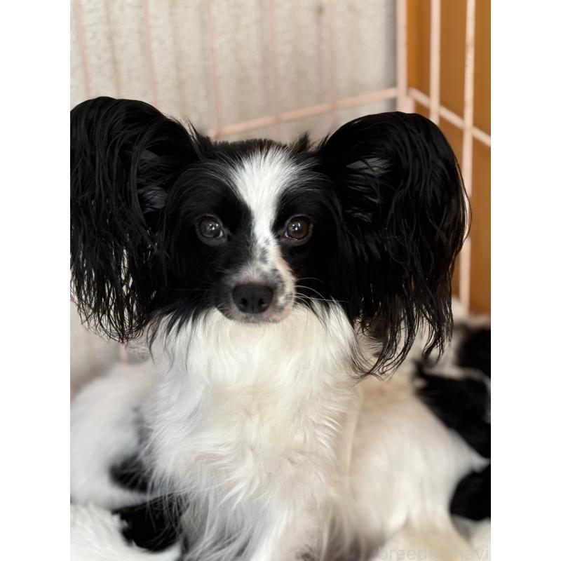 ジアちゃん1枚目