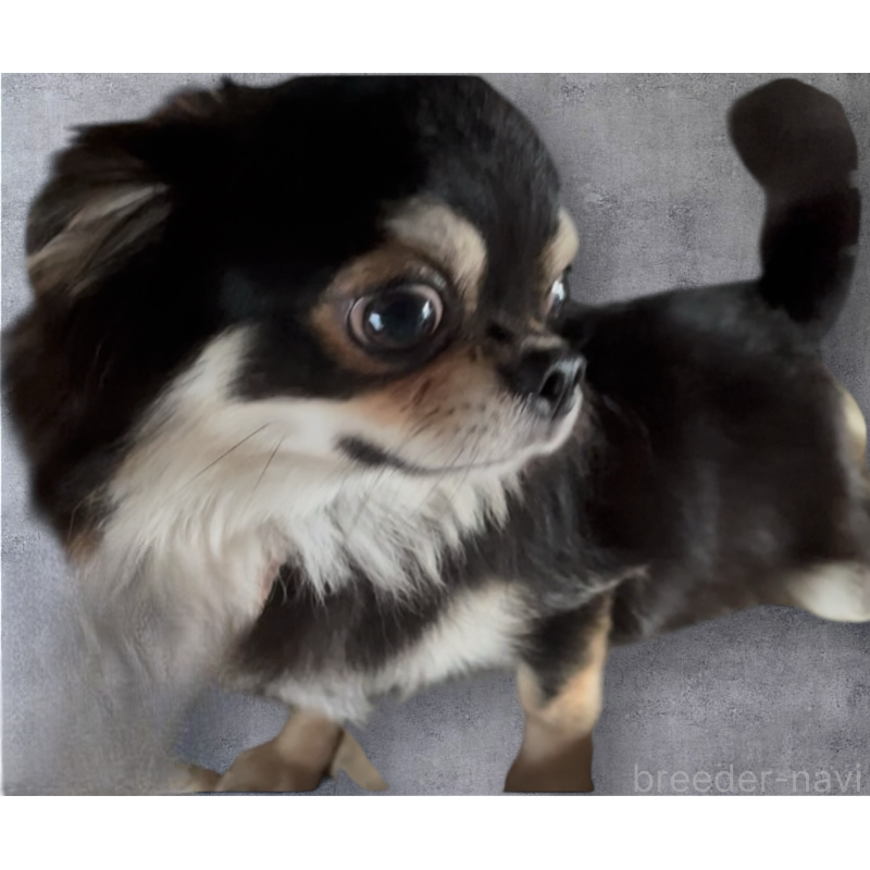 オレオくん1枚目