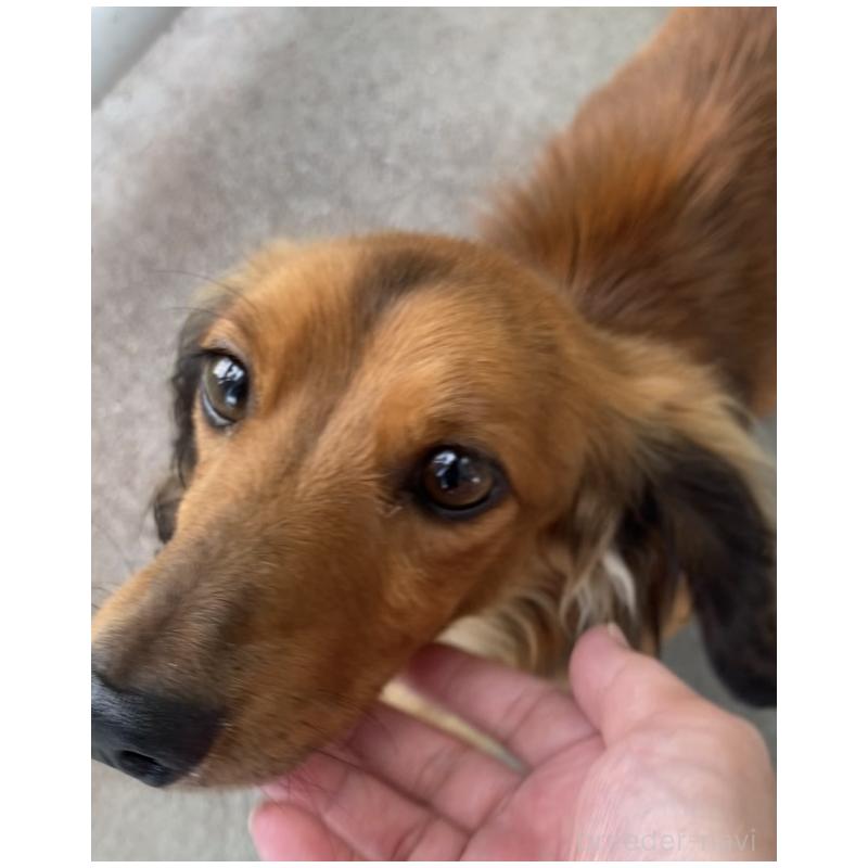 そぼろくん1枚目