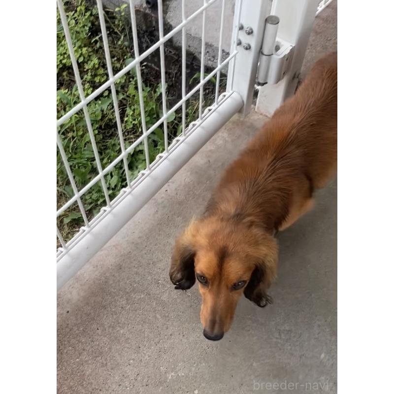 そぼろくん1枚目