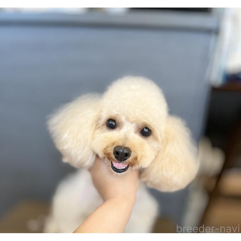 ラムちゃん1枚目